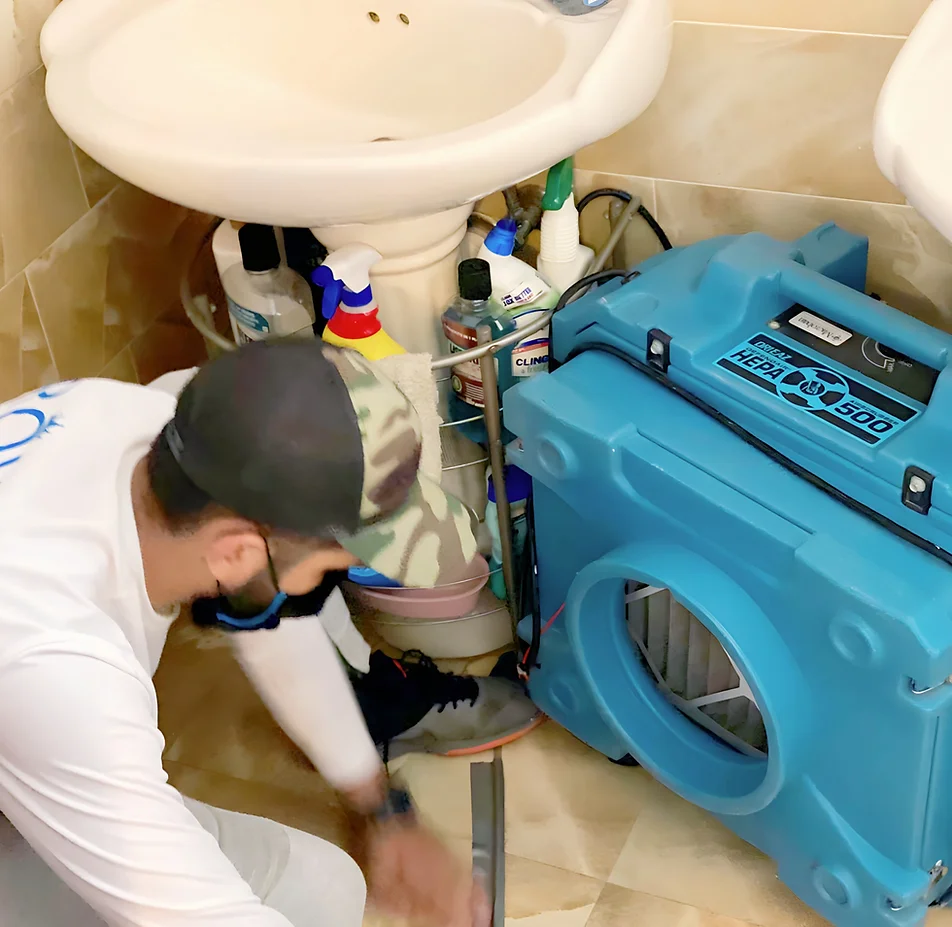 Restoration Services contractors