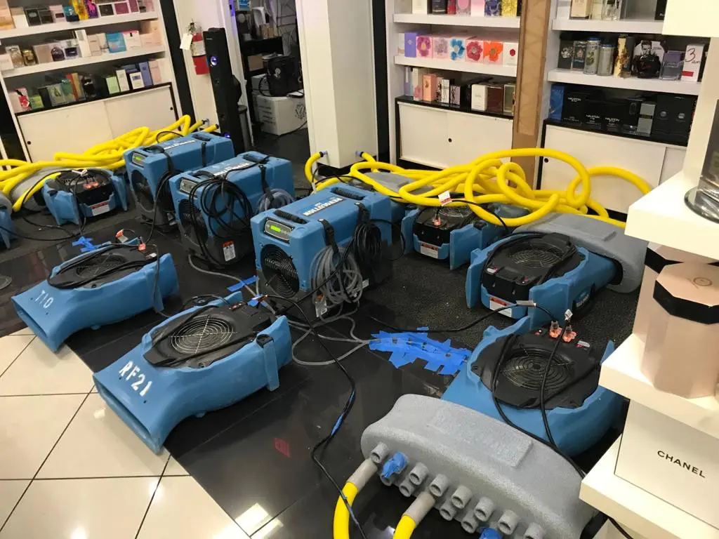 Restoration Services specialist